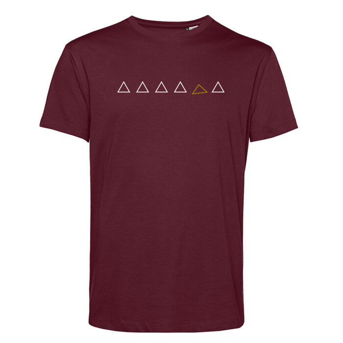 Triangle - Image 4